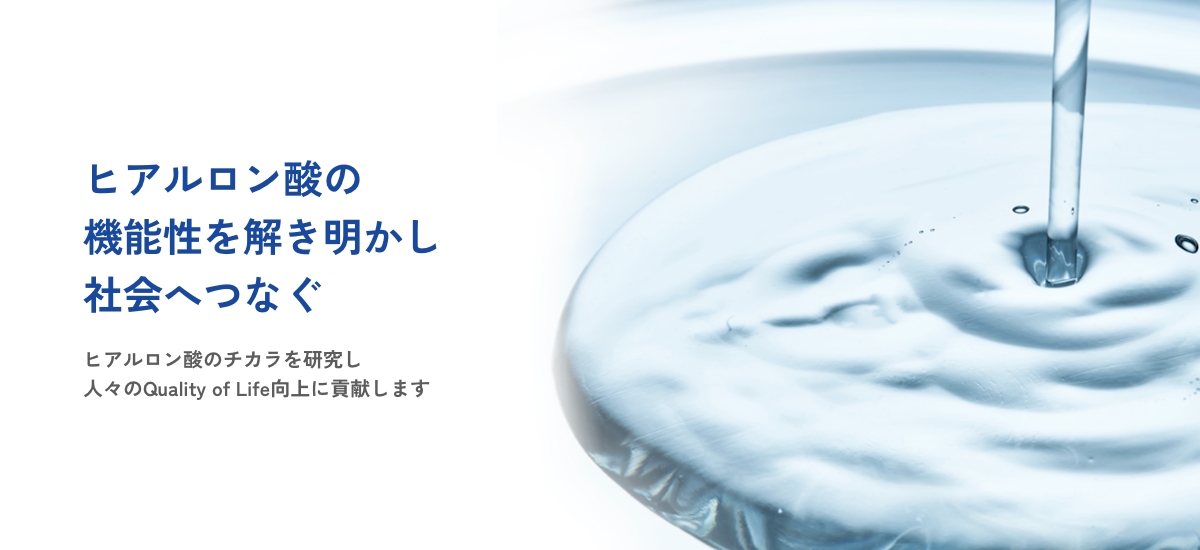 ヒアルロン酸の機能性を解き明かし社会へつなぐ